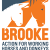 Brooke Pakistan