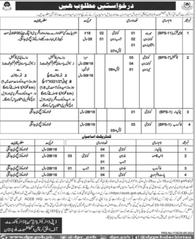 Directorate Of Anti Corruption Establishment Apply Jobs 2024