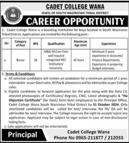 Cadet College Wana District South Waziristan Jobs 2024 