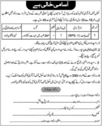 Cook Job At School Of Artillery Nowshera Cantt Apply Jobs 2024